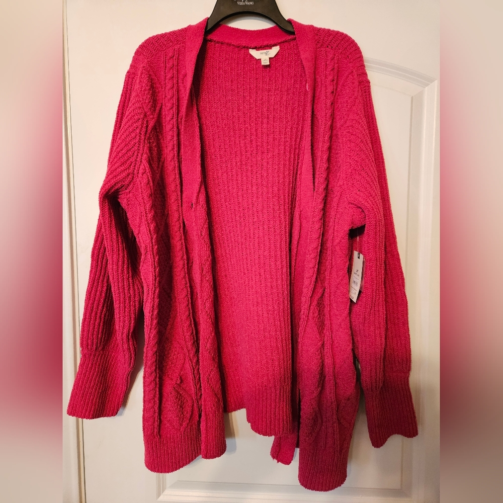NWT Terra & Sky Cardigan Size 2X